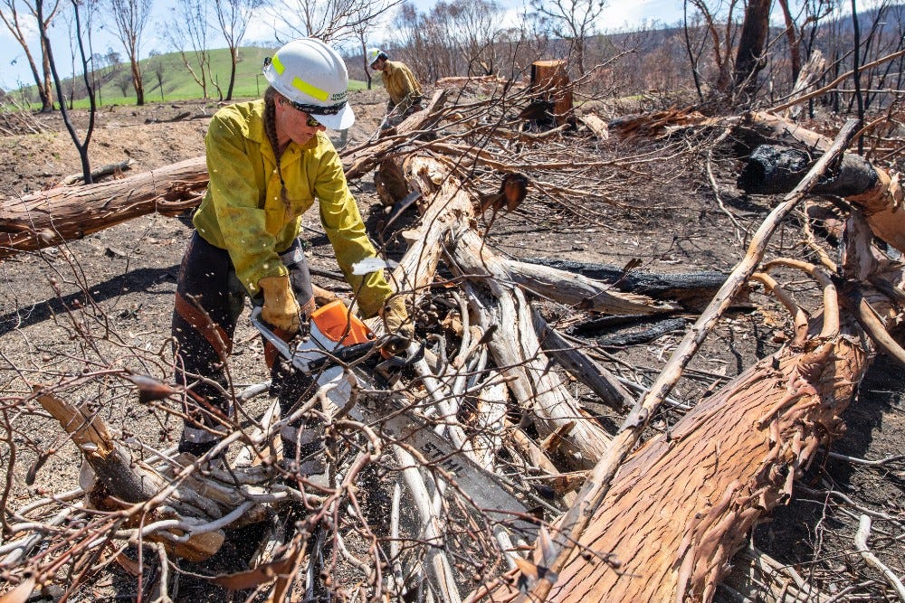 wildland firefighter gear