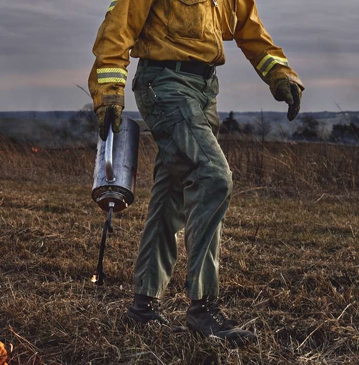 Wildland Pants